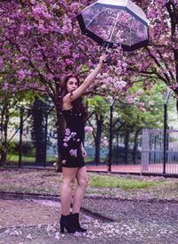 Portrait of young woman holding umbrella against cherry trees on footpath