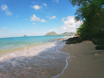 Scenic view of beach against sky