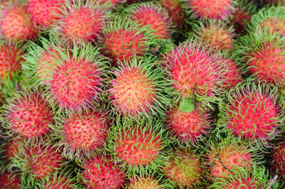 Rambutan fruits which is a tropical fruit in thailand that has pearl white meat and sweet taste.
