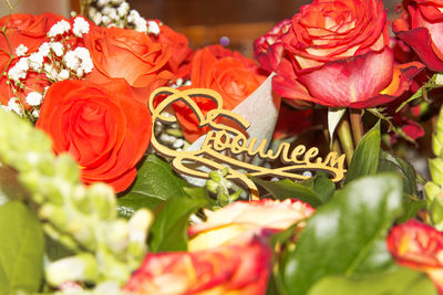 Close-up of red roses