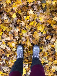 Low section of person standing on autumn leaves