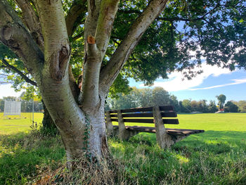 Park bench on field