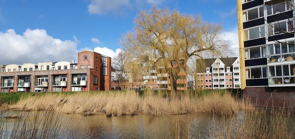 Buildings by river against sky