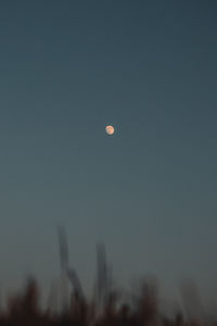 Low angle view of balloons flying against sky