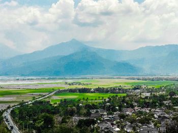 Scenic view of agricultural field against sky