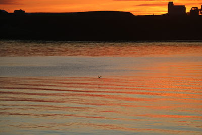 Silhouette bird flying over sea against orange sky