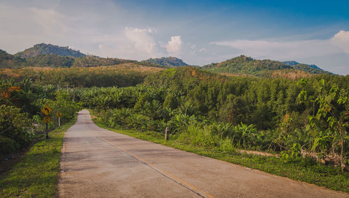 Road amidst plants and trees against sky