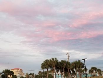 Palm trees against sky during sunset