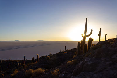 Silhouette cactus on landscape against sky during sunset