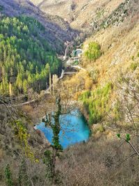 High angle view of lake amidst trees