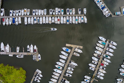 High angle view of boats moored at harbor against buildings