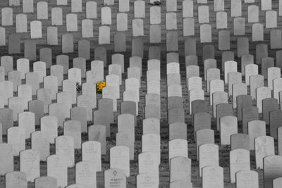 Field of black and white headstones