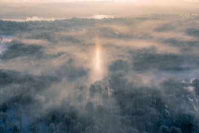 Aerial view of trees against sky