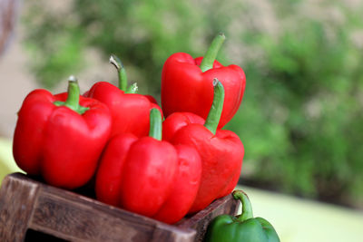 Close-up of red bell peppers