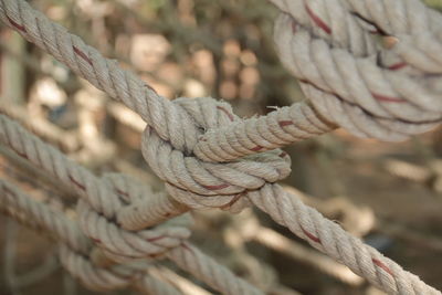 Close-up of rope tied to wood