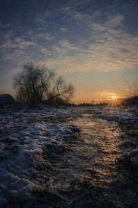 Scenic view of bare trees against sky during sunset