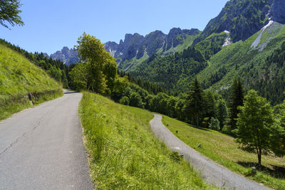 Road amidst trees against sky