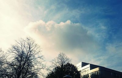 Low angle view of bare trees against sky