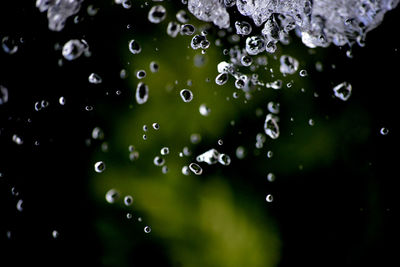 Close-up of water drops on leaf