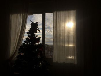 Silhouette of christmas tree at window