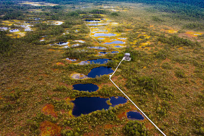 High angle view of plants on land