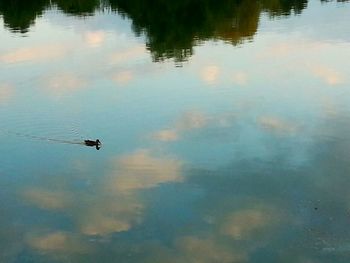 High angle view of birds flying over calm lake