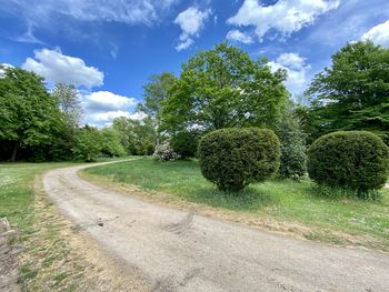 Trees growing on field against sky