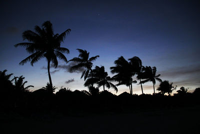 Silhouette palm trees against sky at sunset