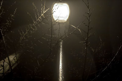 Close-up of illuminated lamp