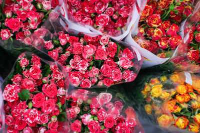 High angle view of flowering plants in market