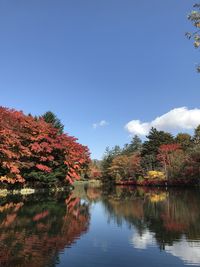 Autumn trees by lake against sky