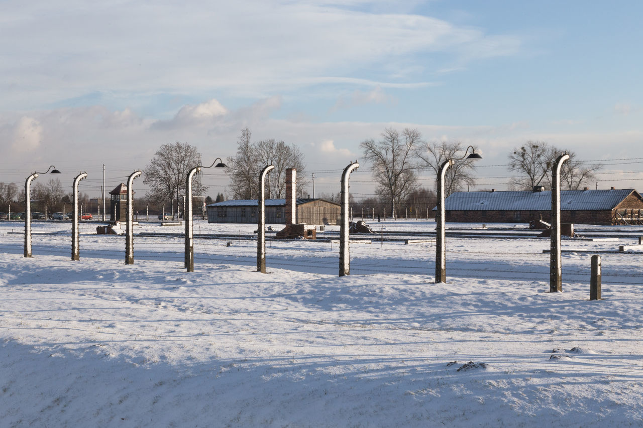 SNOW COVERED BARE TREES ON FIELD AGAINST SKY