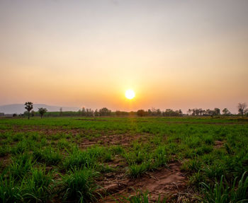 Scenic view of field against sky during sunset