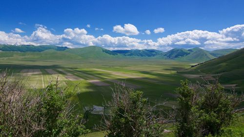 Green field and hill against sky