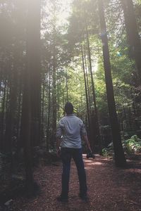 Rear view of man standing amidst trees in forest