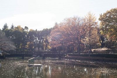 Trees by lake against sky