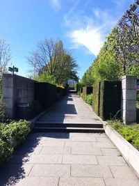 Footpath amidst trees and buildings against sky on sunny day