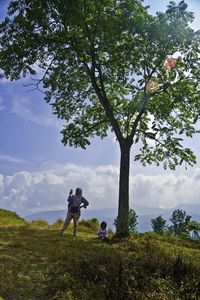 Trees and plants on field against sky