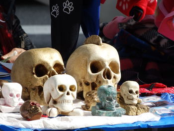 Close-up of human skulls on display