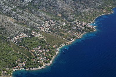 High angle view of trees on beach