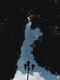 Low angle view of silhouette trees against sky
