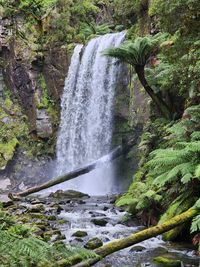 waterfall