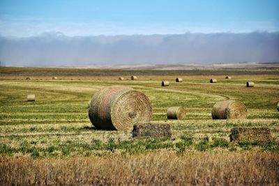 Hay bales on field against sky