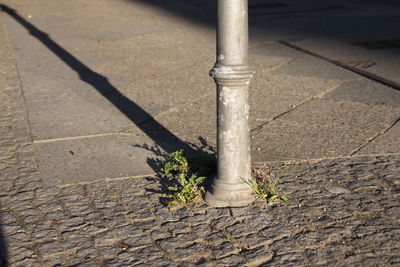 Close-up high angle view of paving stone
