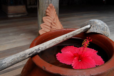 Close-up of red flower on water