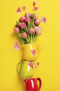 Close-up of yellow tulips