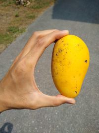 Close-up of hand holding apple