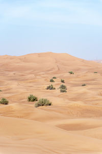 Scenic view of desert against sky