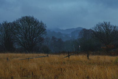 A small highway and field along a misty scotland hillside view