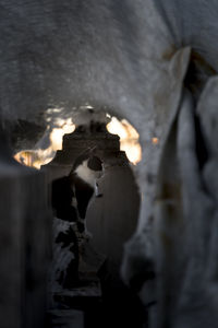 Close-up of burning candles on wood